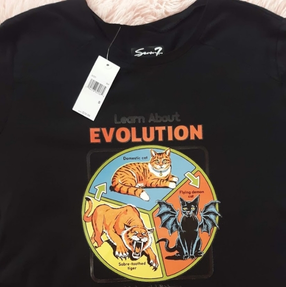Seven7 Tops - Evolution of cats meme tee!